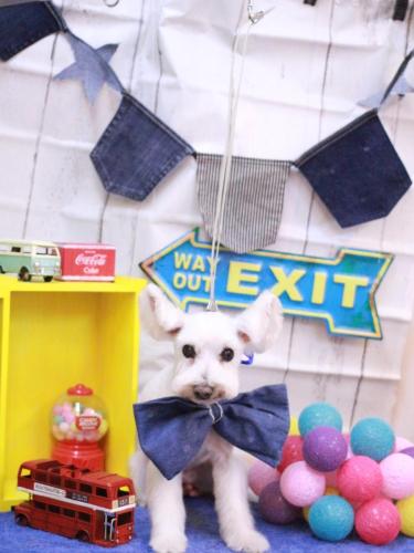 20230408小梅ちゃん